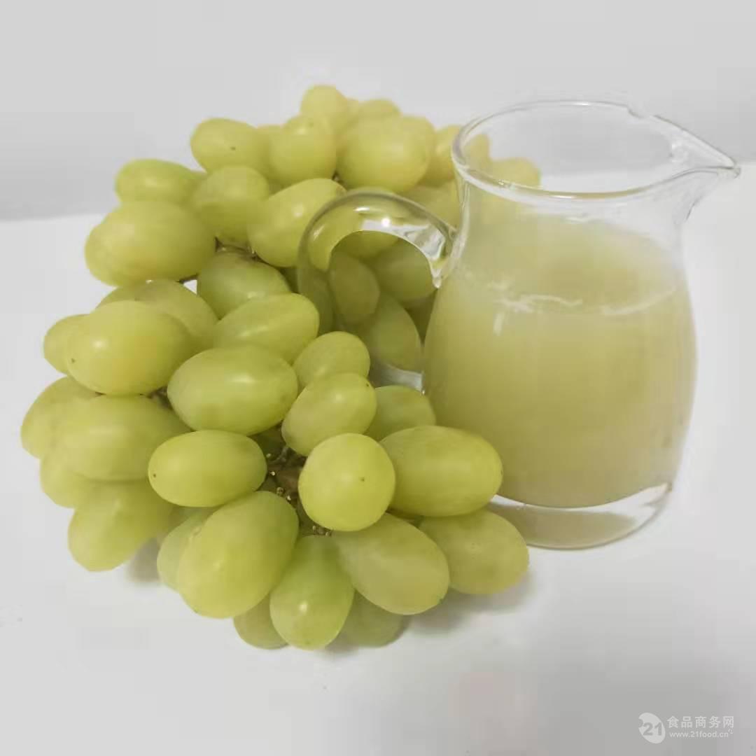 青葡萄汁批发价 新疆绿葡萄浓缩汁生产厂家 青葡萄鲜汁粉价格
