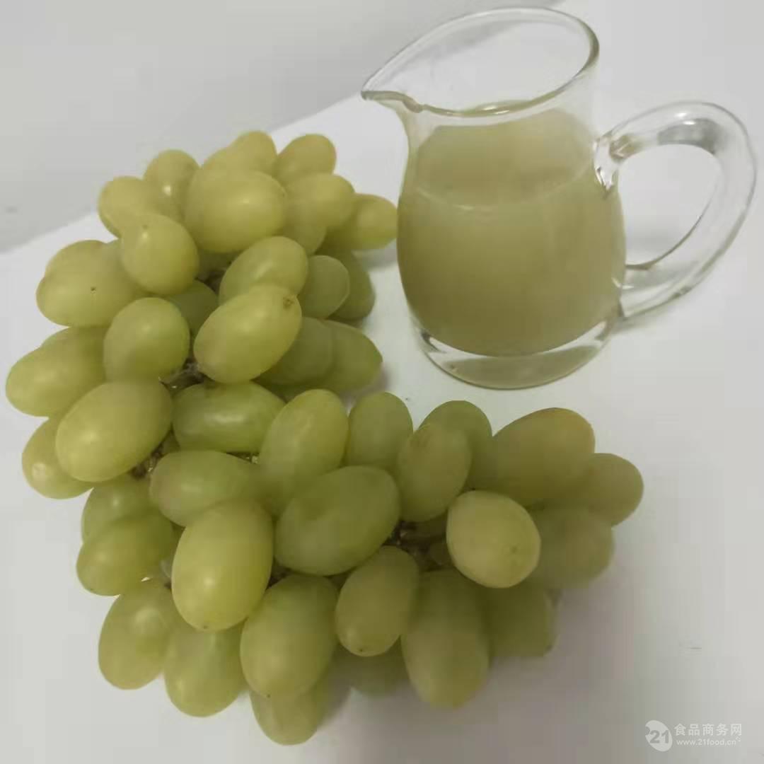 青葡萄汁批发价 新疆绿葡萄浓缩汁生产厂家 青葡萄鲜汁粉价格