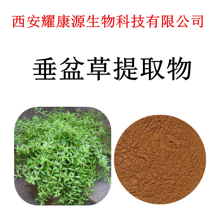 狗牙齿垂盆草提取物101垂盆草粉垂盆草浓缩粉包邮