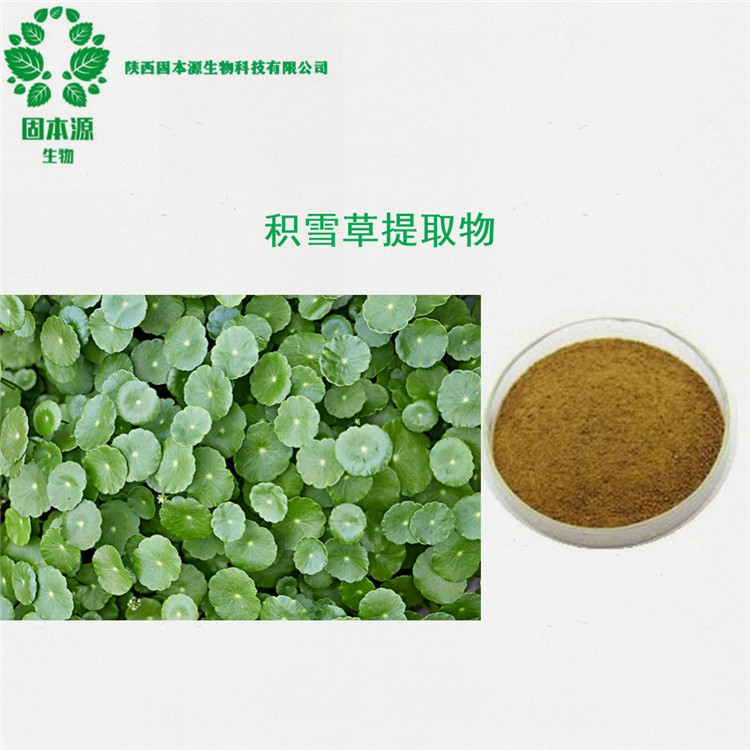 积雪草提取物 含积雪草苷 马蹄草提取物 现货