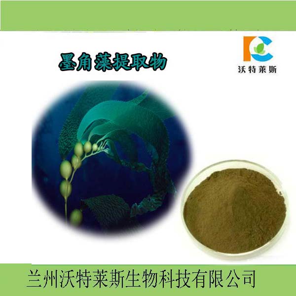 黑升麻提取物101黑升麻现货