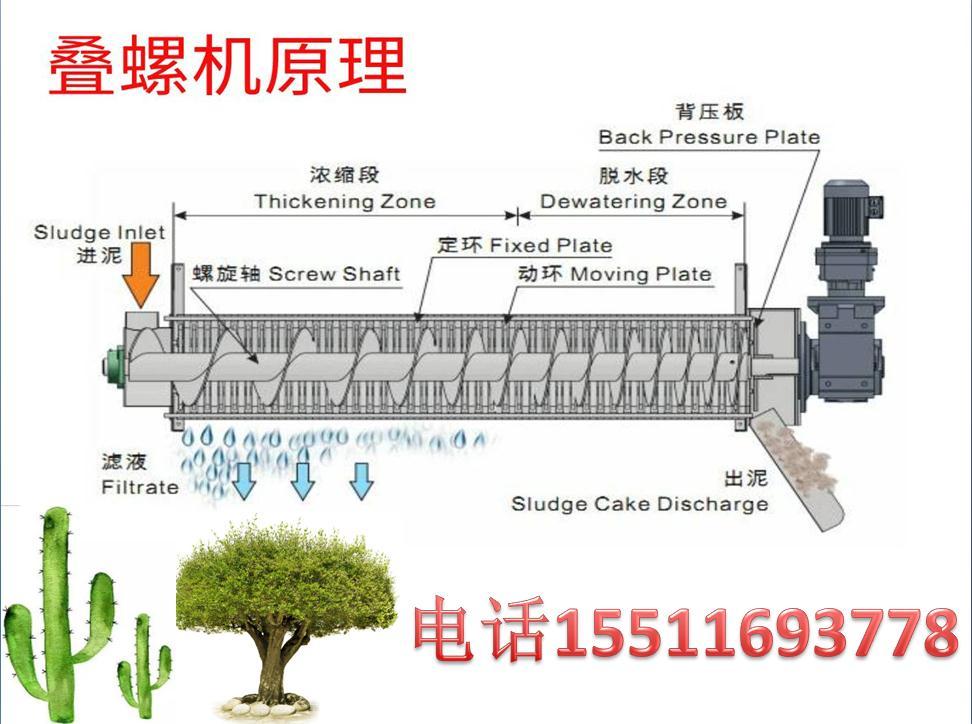 药材污泥叠螺机穿山甲鳞片