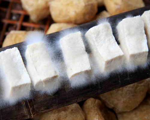 毛豆腐是安徽驰名中外的素食佳肴,一般叫黄山毛豆腐或者徽州毛豆腐.