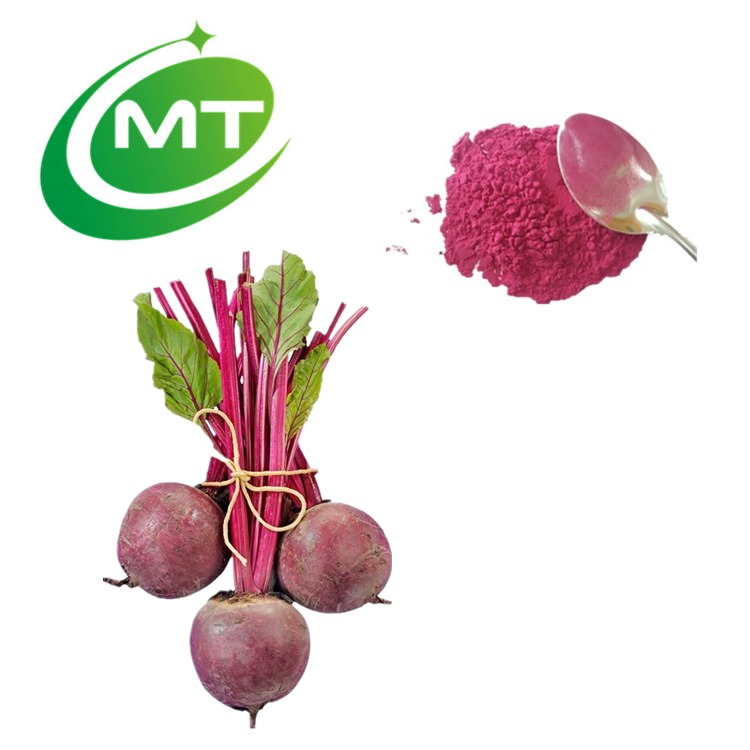 食品级甜菜根提取物粉末