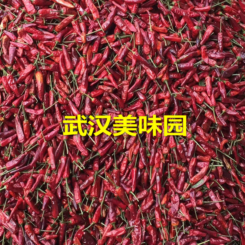 正宗福建辣椒王