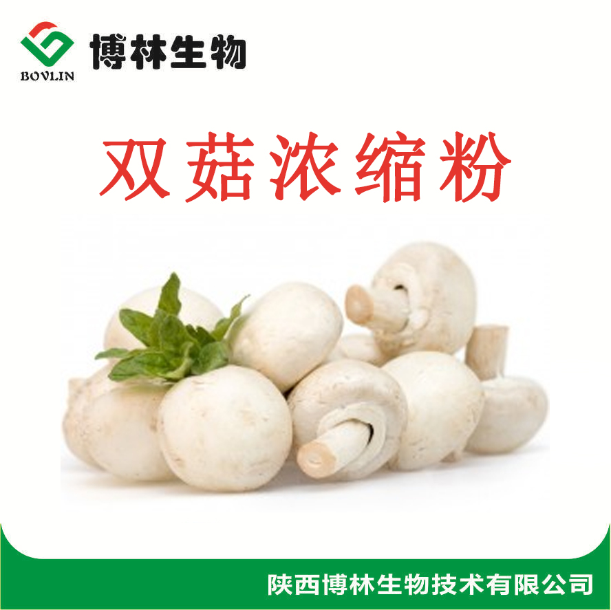 双孢菇提取物10:1 双孢菇粉