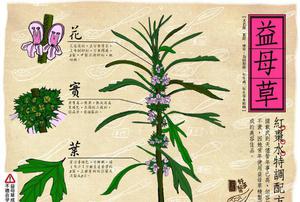 甘肃益母草提取物价格
