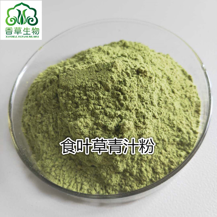 食叶草提取物粉200目全水溶食叶草黄酮厂家供应蛋白菜浸膏粉