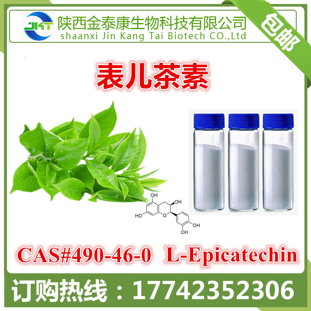 绿茶提取物表儿茶素ec98lepicatechin100g每袋