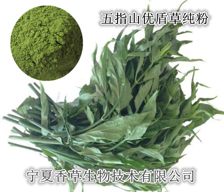 优盾草提取液黎王草浓缩汁鳄嘴花流浸膏鳄嘴花纤维粉