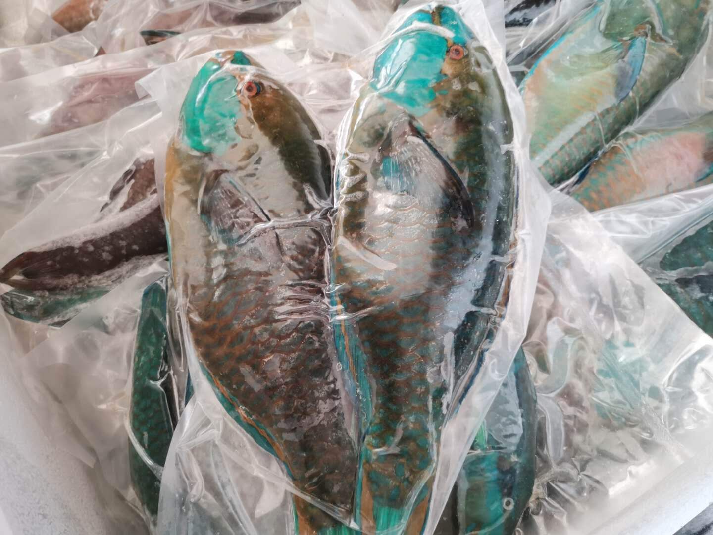 海南锦福益海实业有限公司