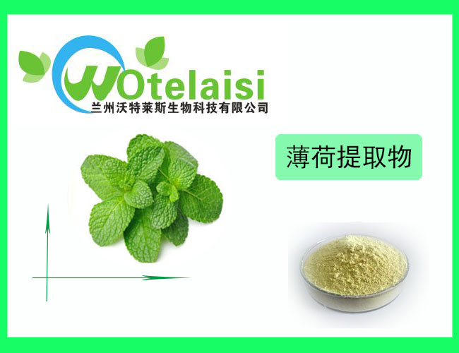 薄荷提取物101药食同源薄荷粉