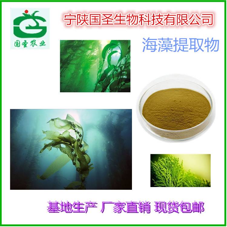 海藻提取物 水溶性海藻粉 海藻多糖肽