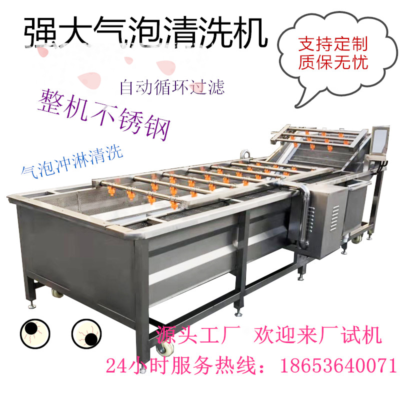 海虹气泡清洗机 圣女果冲淋式气泡清洗机