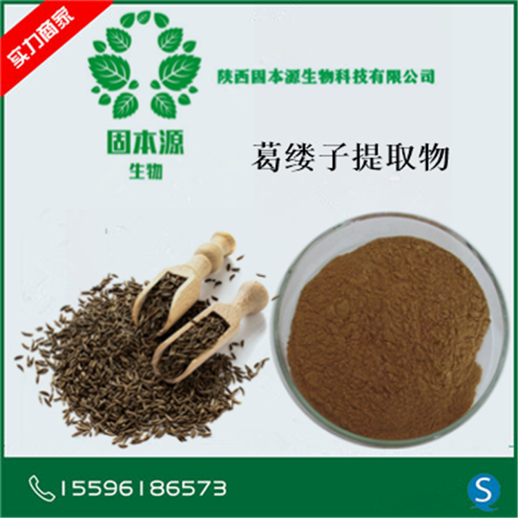 葛缕子提取物 葛缕子比例浓缩粉 葛缕子粉 大量现货供应