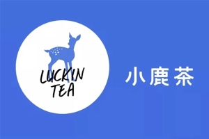 小鹿茶加盟代理费用|1-2人加盟代理19800元开店