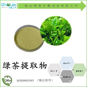 绿茶提取物 报价 厂家热销 批发零售