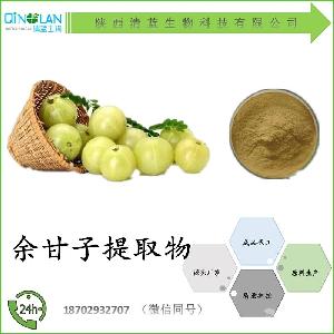 供应 余甘子生粉 宁陕oem代工 专业植提 sc认证