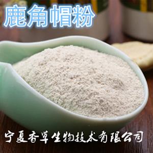 鹿角霜提取物201水溶性鹿角霜粉80目供应鹿角霜冻干粉