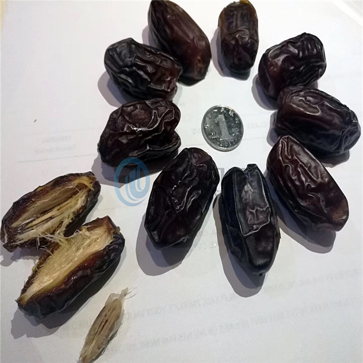 椰枣核种类图片