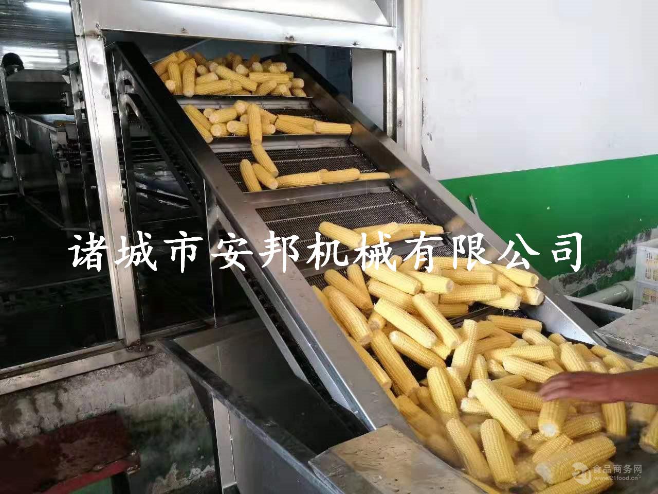 玉米專業蒸煮機