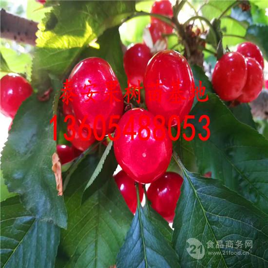 takfqtyyyc1707020B2.jpg