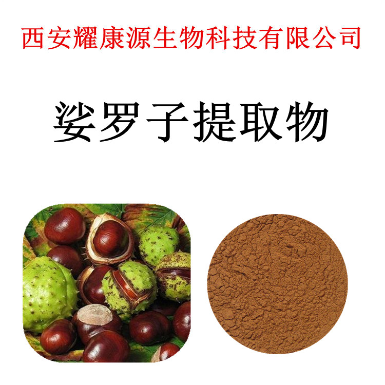 娑罗子提取物娑罗子比例提取粉娑罗子浓缩粉