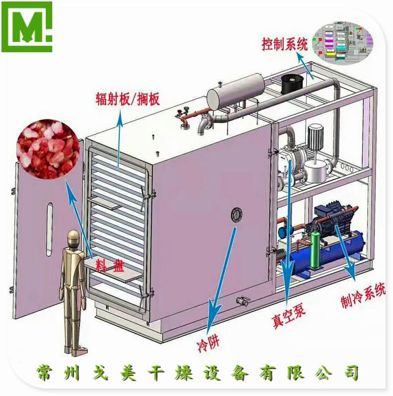 真空冷冻干燥机结构图图片