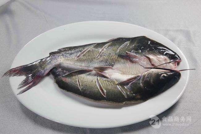 順之吻冷凍醃製開背清江魚烤魚紙包魚專用叉尾魚黑鮰魚900g1100g