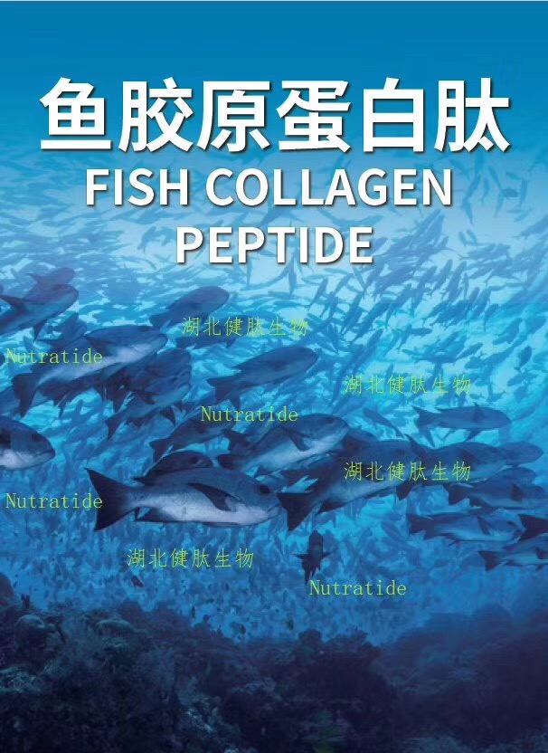 鱼胶原蛋白肽150mg图片