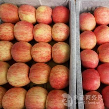 今年红富士苹果价格走势 山东省红富士苹果收购价格行情