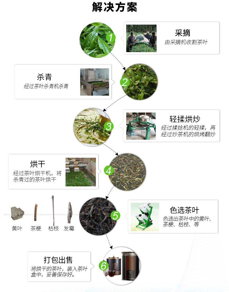 绿茶生产工艺流程图图片