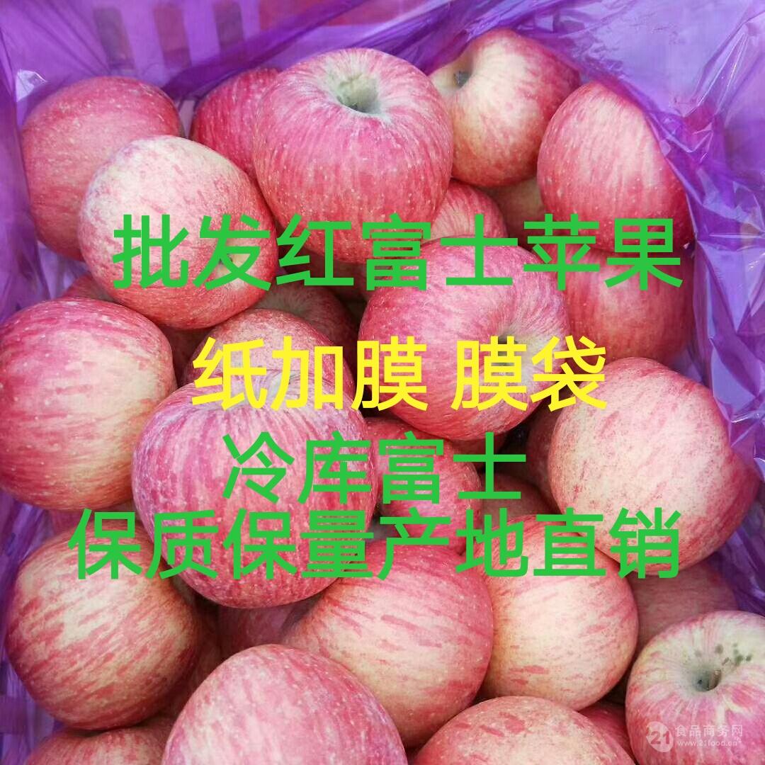 广东红富士苹果苗木新品种