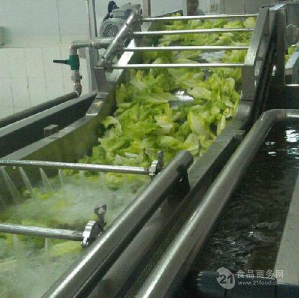 義康牌 白菜鼓泡清洗機 全自動鼓泡清洗機 藕片鼓泡清洗機