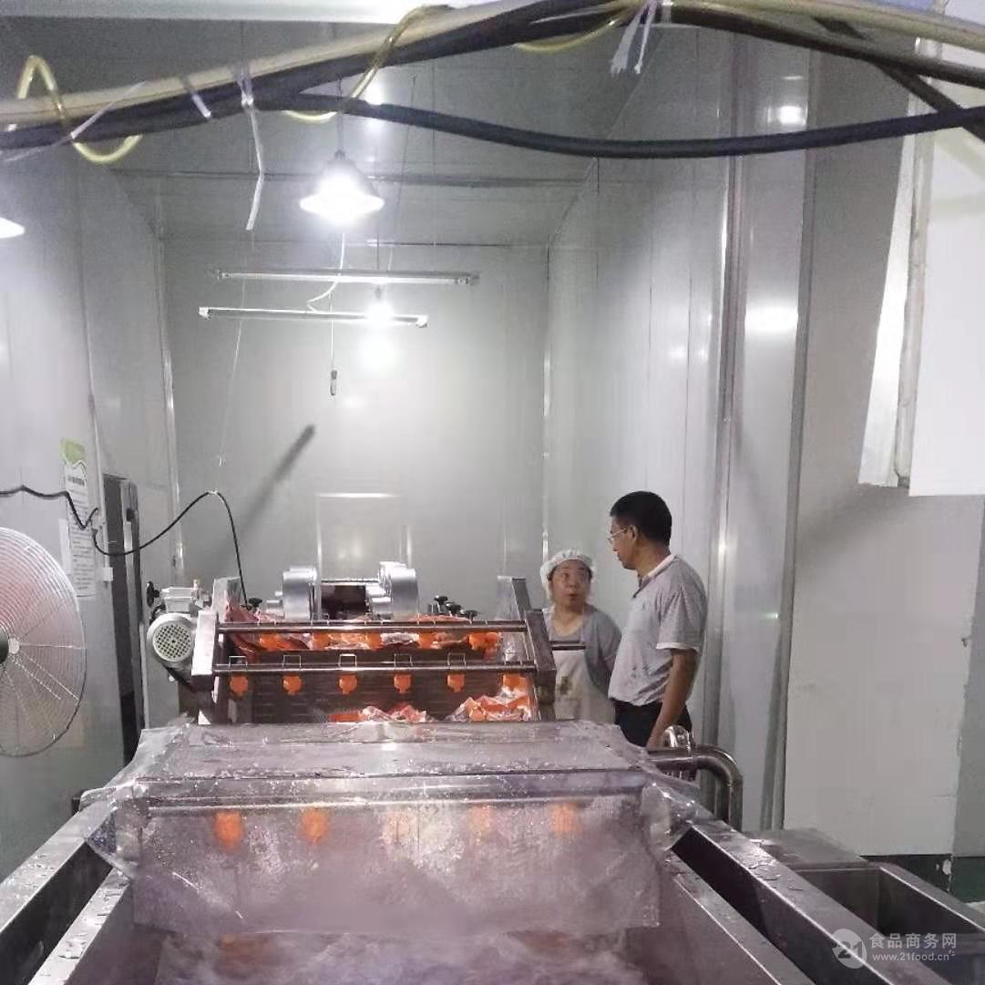 DZ供應全自動噴淋式腐竹氣泡清洗機 廠家