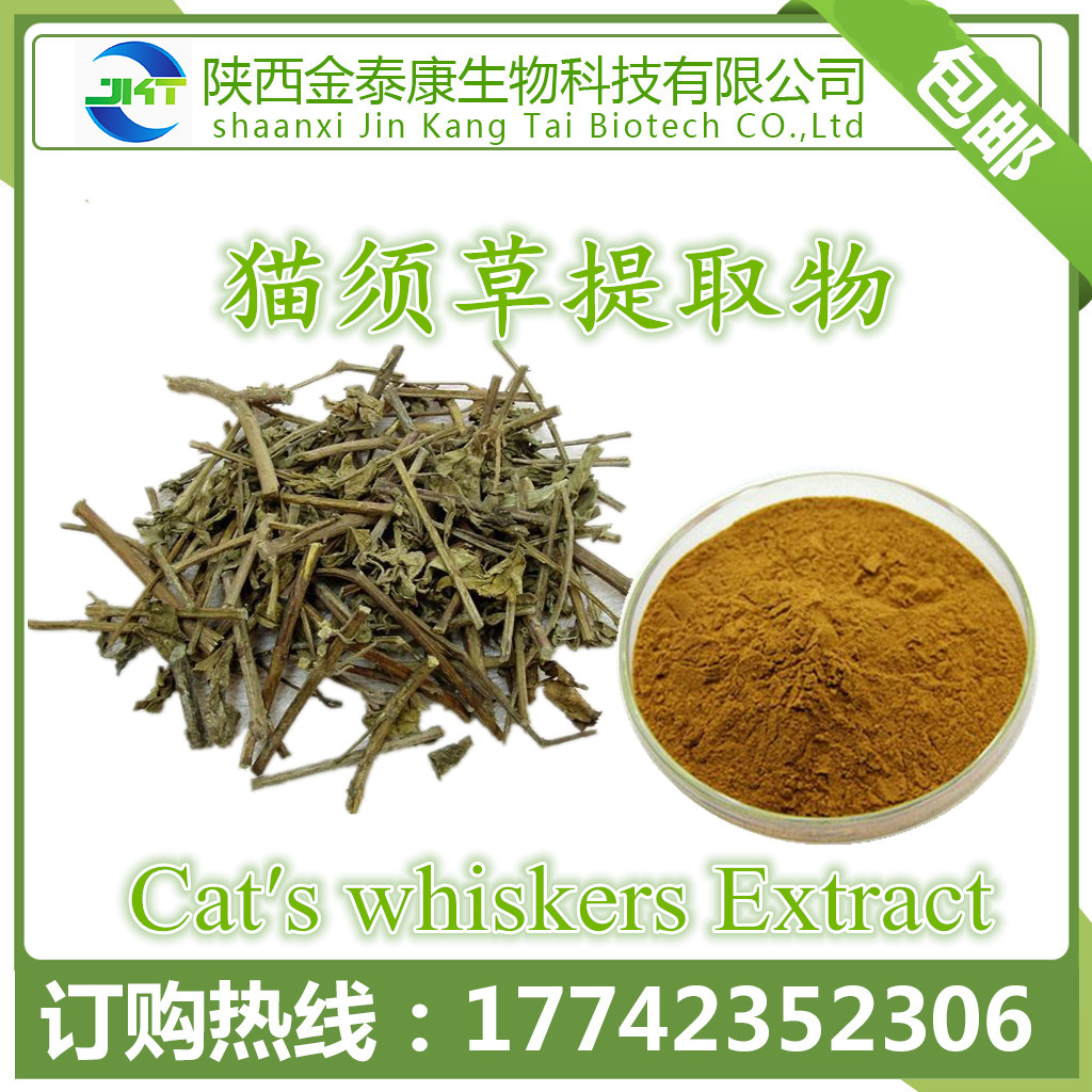 猫须草提取物 肾茶提取物 猫须公提取物 10:1 猫须草粉 现货包邮