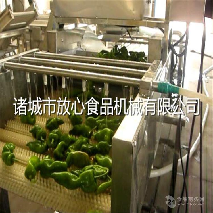 果洛小白菜清洗机优质产品