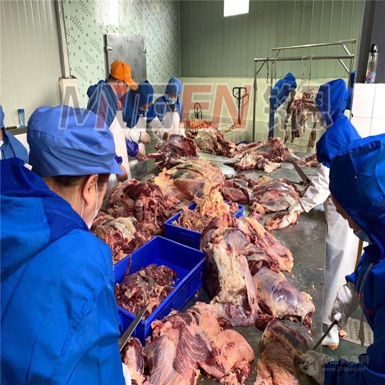 諸城丝瓜视频安卓chengr版供應肉類低溫高濕解凍機 進口牛肉解凍機 牛肉緩化庫