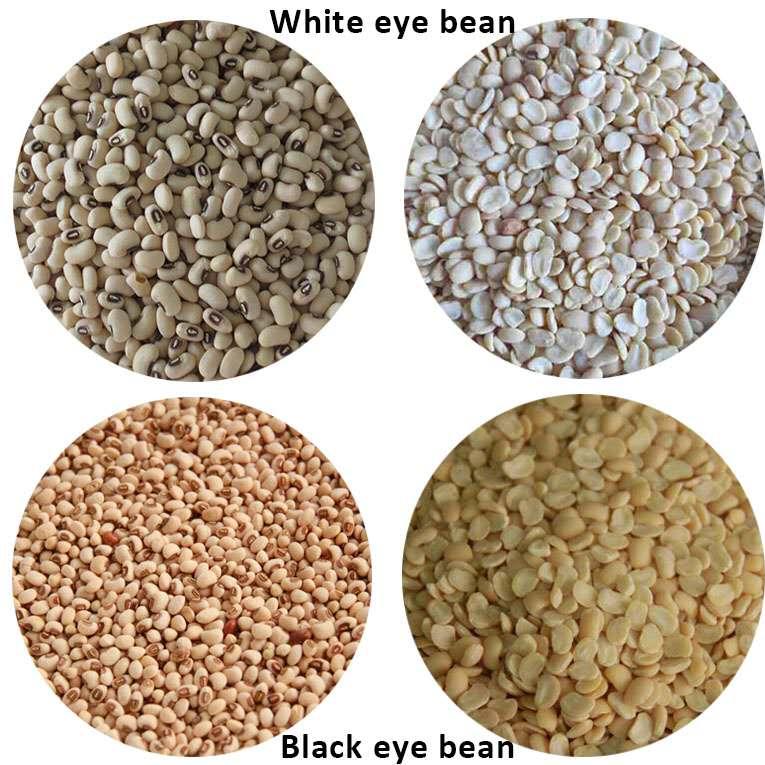 白豇豆脫皮機(jī)黑眼豆干法扒皮機(jī)出口型豇豆去皮機(jī)