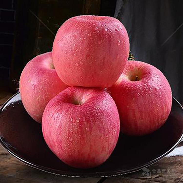 新鲜红富士苹果 红富士苹果价格表价格
