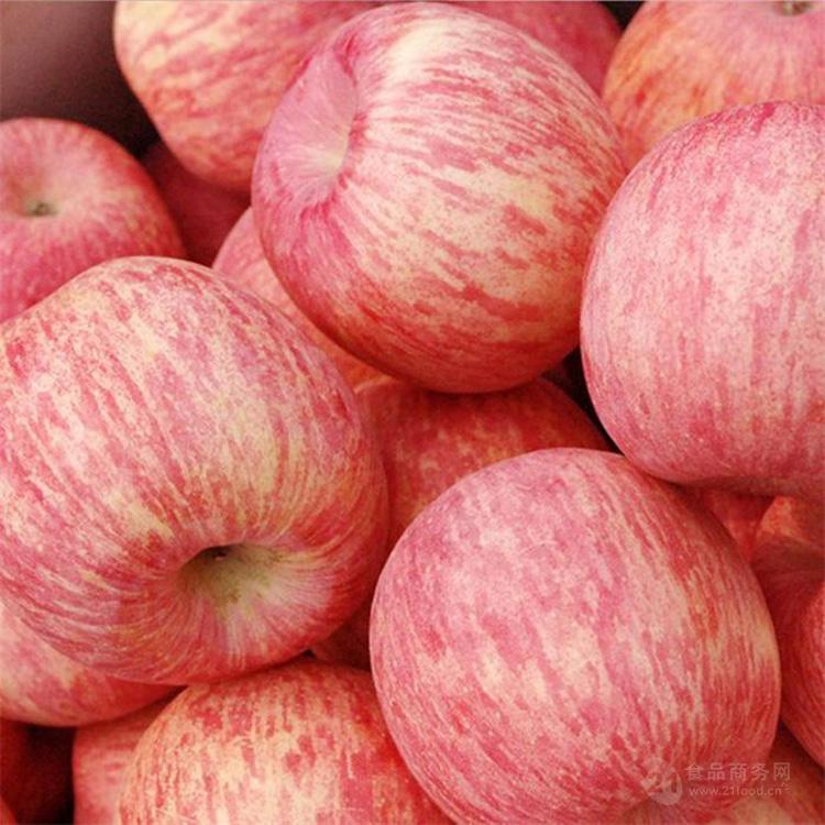 新鲜红富士苹果 红富士苹果价格表价格