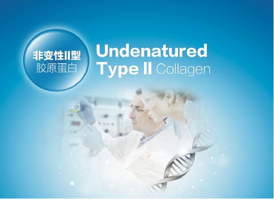 产品4:软骨肽(hydrolyzed collagen type ii)盛美诺软骨肽以优选的