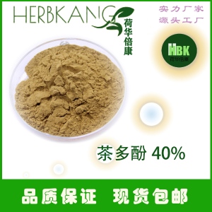 工厂热销天然绿茶提取物 茶多酚98% 绿茶粉饮料