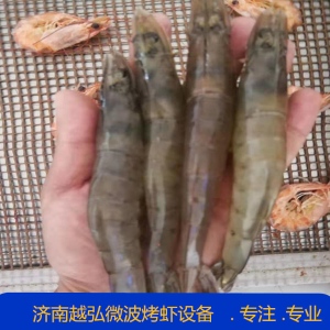 美味可口的蝦烤蝦 大蝦鮮蝦對蝦微波烘干烘烤機