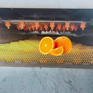 全自動橙子清洗機 毛輥高壓噴淋清洗設備 水果清洗機