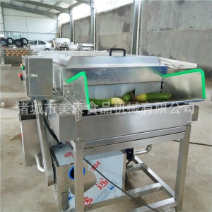 定制小型樱桃萝卜专用清洗机 防腐蚀全自动萝卜干加工清洗设备