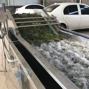 根茎类中草药专用去泥清洗机 全自动药材加工清洗预煮流水线