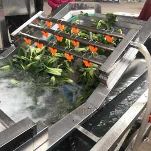 大型蔬菜干漂烫线 速冻油菜深加工2t/1时漂烫冷却生产线价格