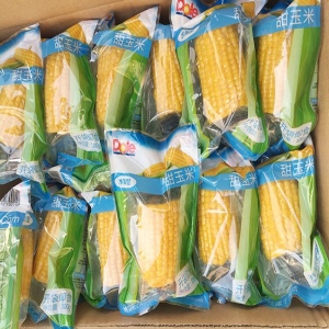 全自动即食玉米加工蒸煮漂烫机 鲜食玉米加工流水线设备价格