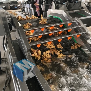供应连续式生姜加工清洗流水线 大姜清洗机 洗姜专用设备价格便宜
